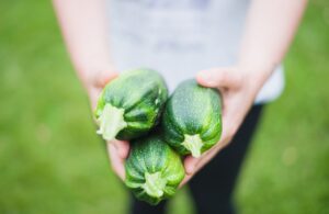 Zucchine piccole e sode raccolte in un orto, pronte per essere cucinate.