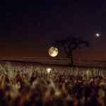 Contadino che semina in un campo sotto la luce della luna, simbolo di tradizioni agricole.