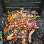 Compost realizzato con scarti di cucina in un contenitore domestico.