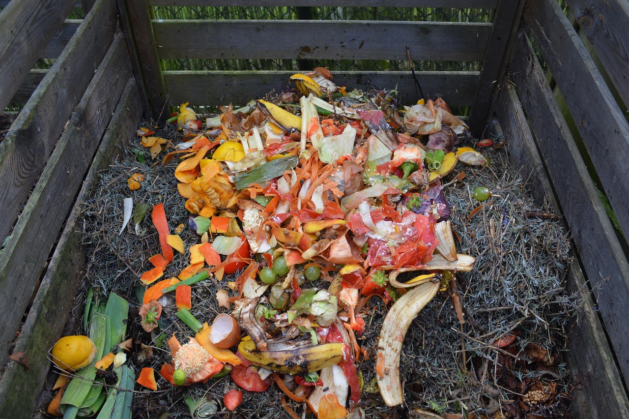 Compost realizzato con scarti di cucina in un contenitore domestico.